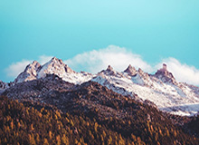 九游平台：用心为你架起的手游发现与福利新港湾